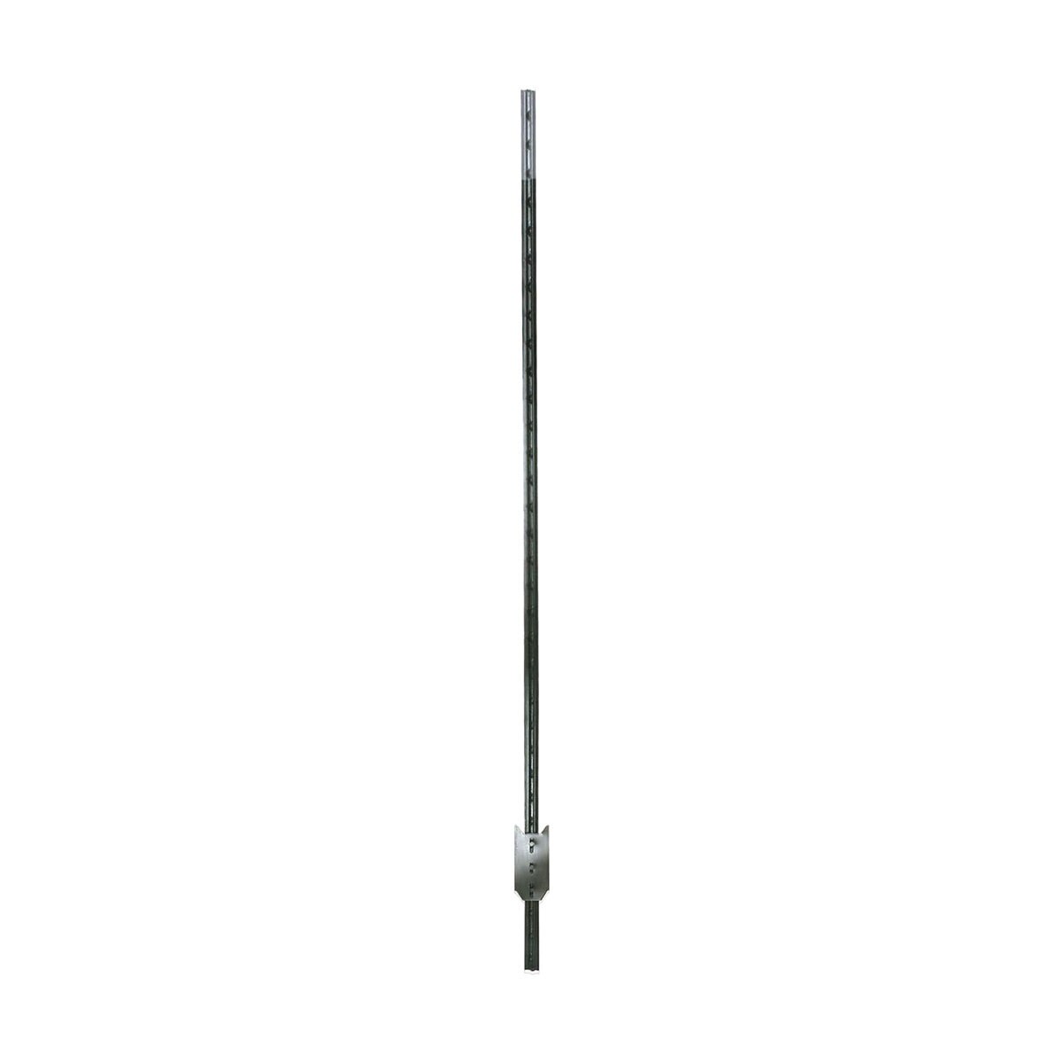 1004128-item1-06182025.11a8d724