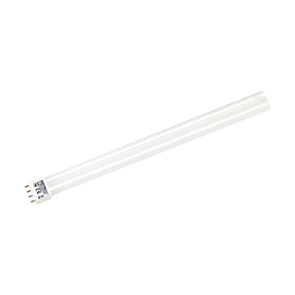 1007940-item1-06252025.11a9e4d1