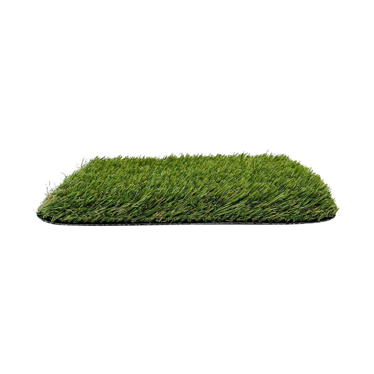 1012534-item1-08212025.0eb0eea4