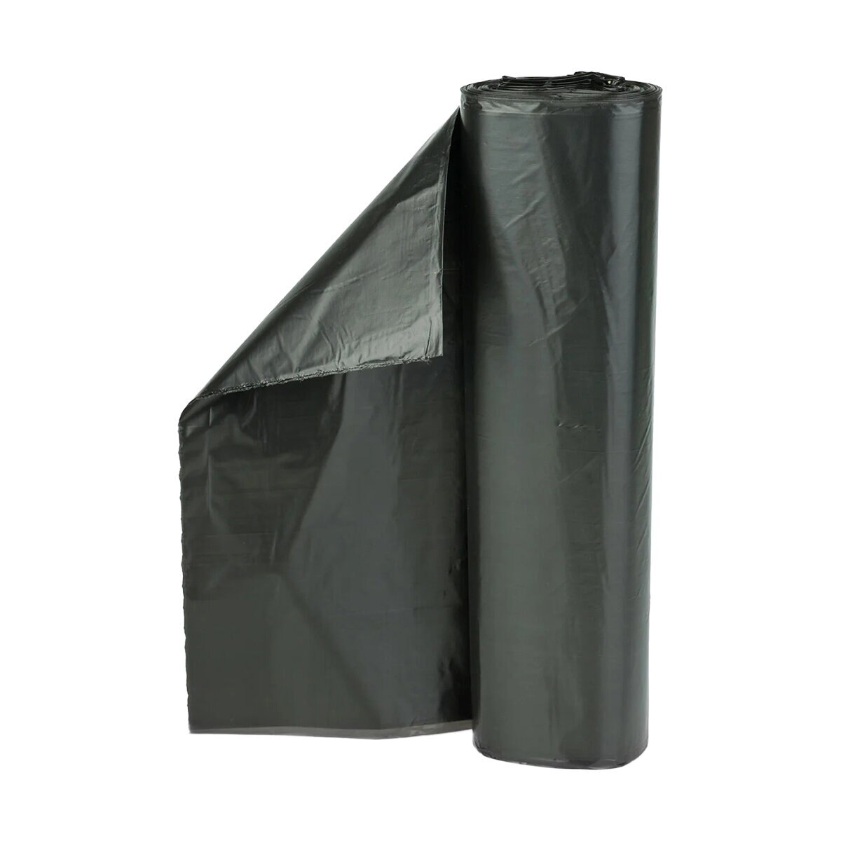 1019473-item1-11072025.0c7e2cca