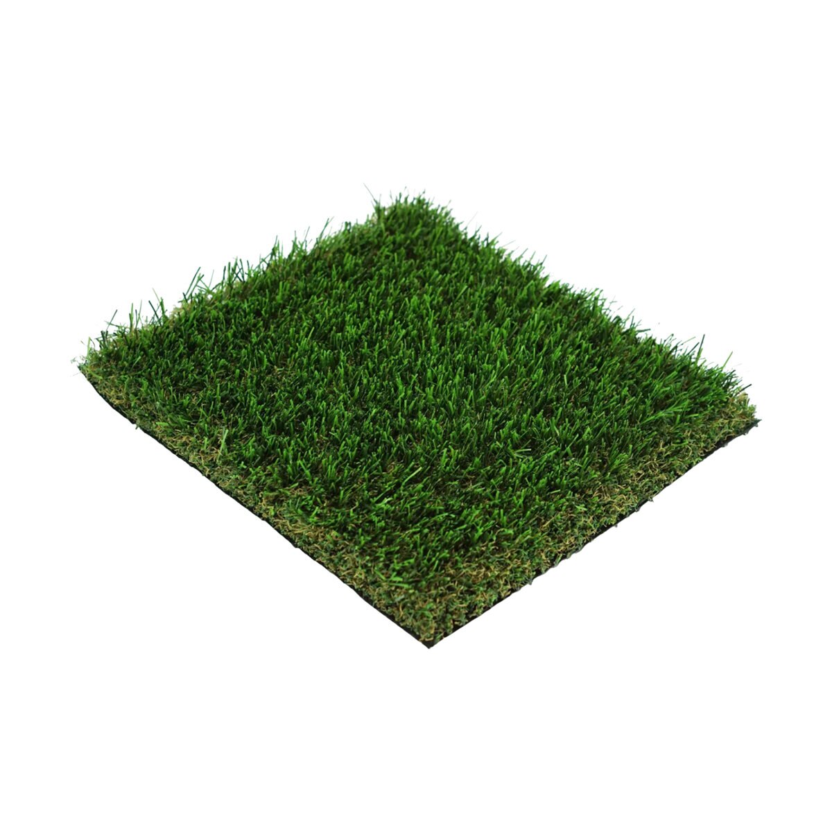 1022010-item1-08282025.7aa6c9ae