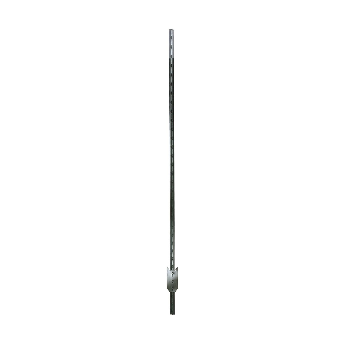 1026503-item1-11072025.8fc81d96