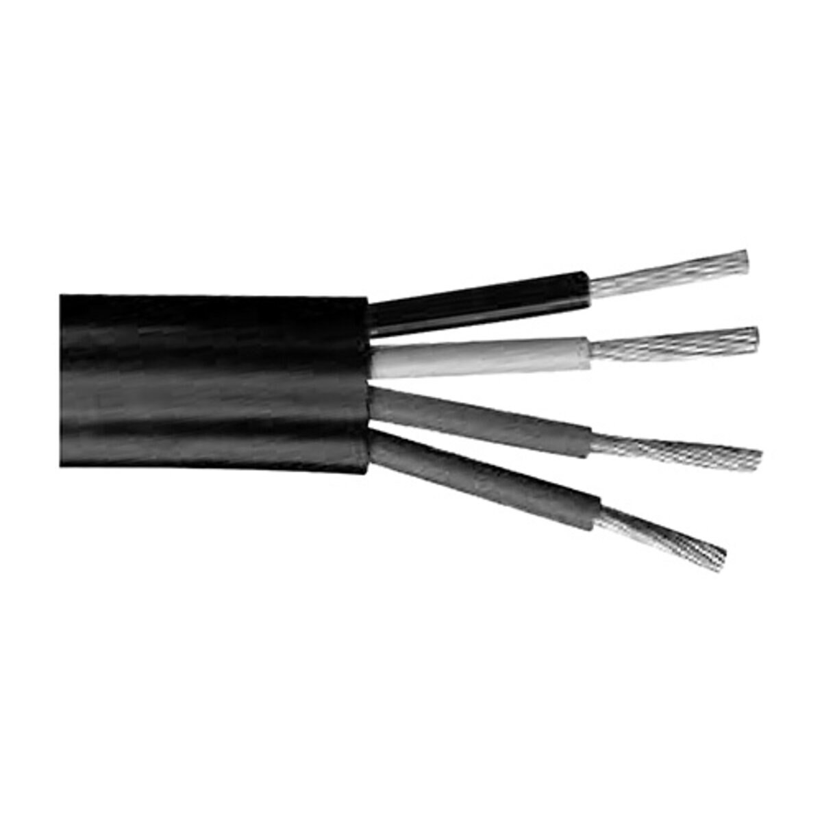 30875-1.9de868a6