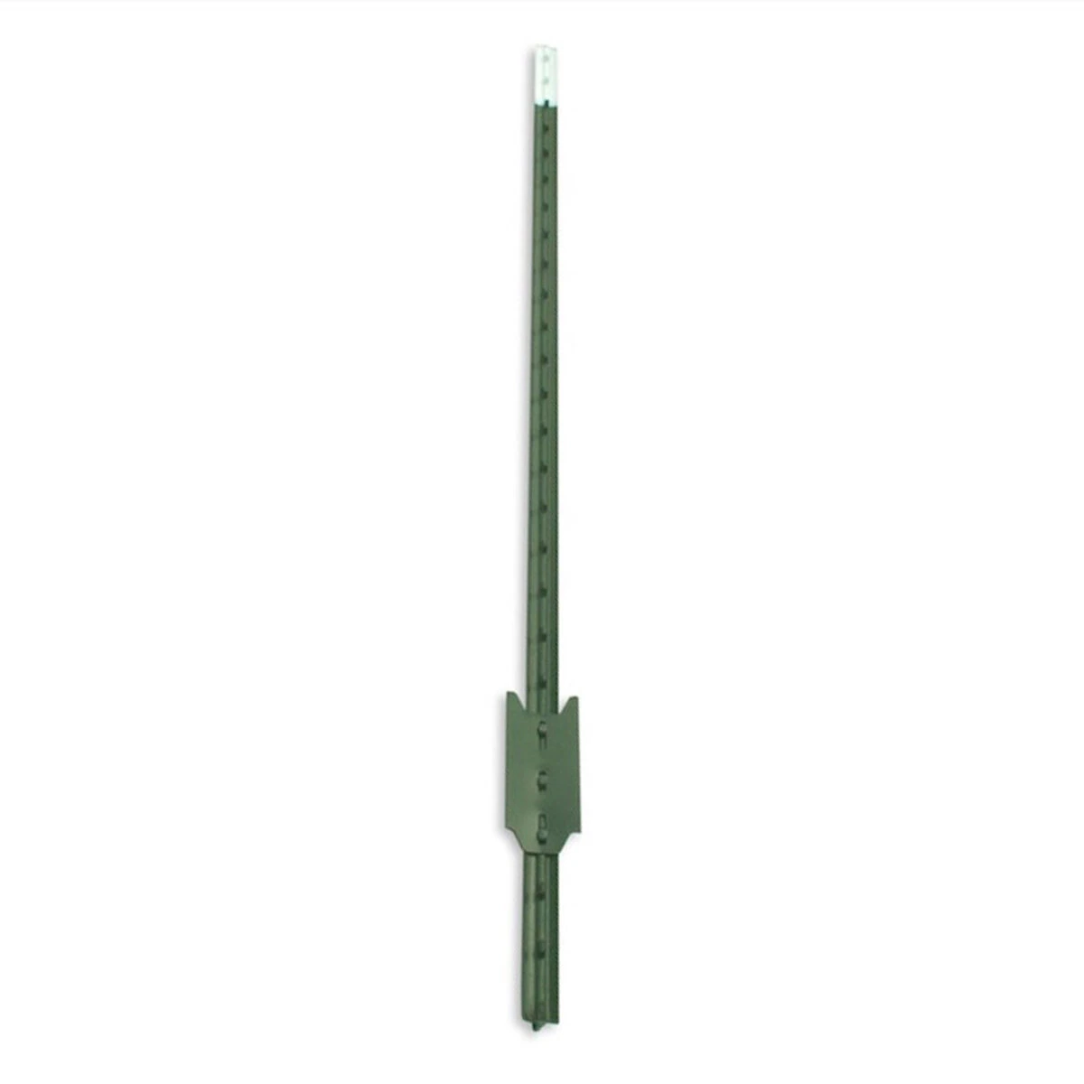 425798-1.2efac9d6