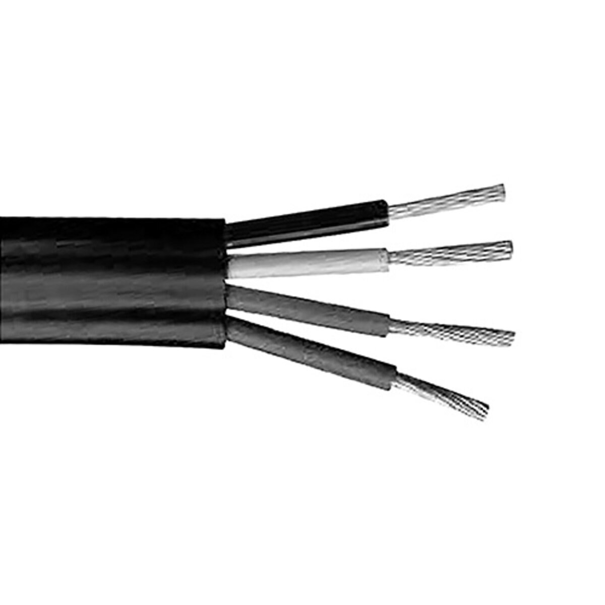 442842-1.5e258eca