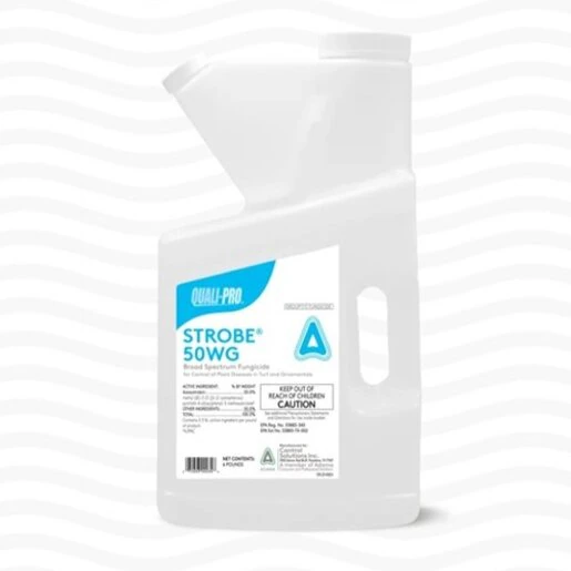 50wg-image2-1-.f22da481
