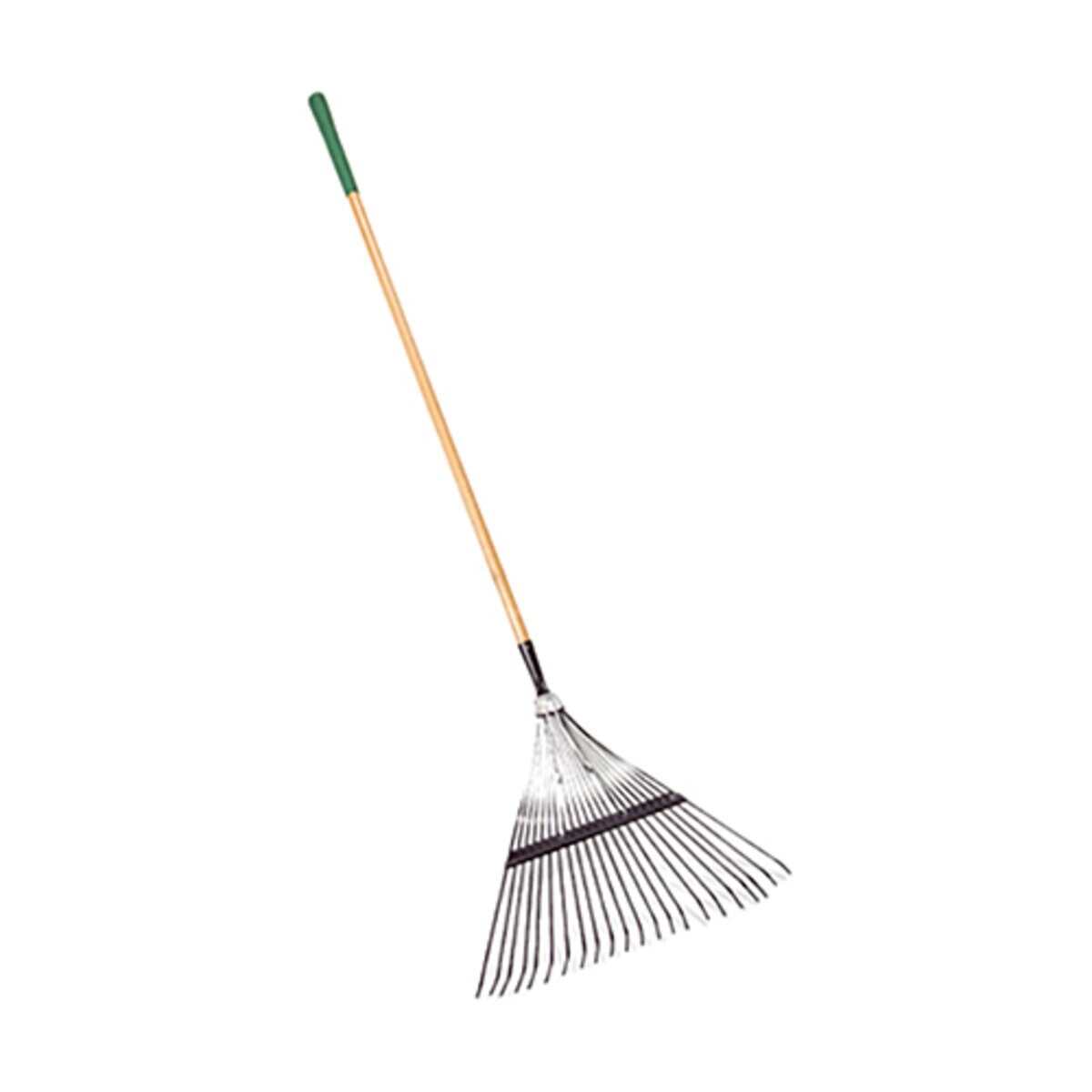 980033-item1-12302024.bd172cf7