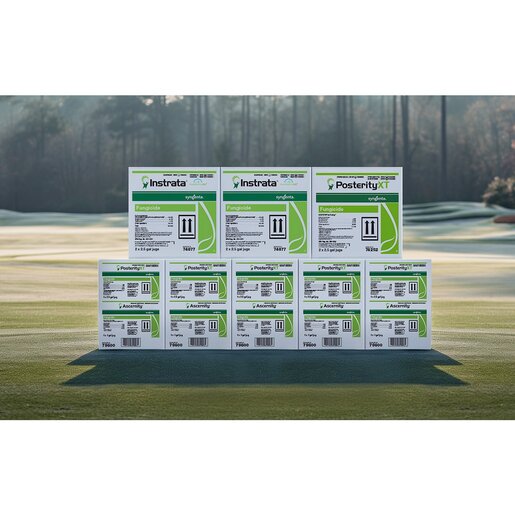 Pkg-20Image-20Winter-20Solution-202024-20-281-29.babad232